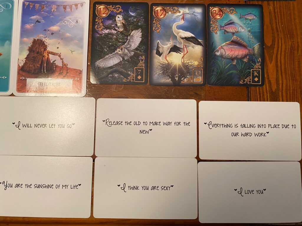 Twin Flame Collective Tarot Card Reading 12/14/20